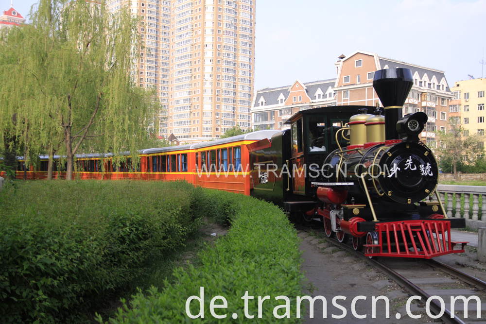 sightseeing train in park track